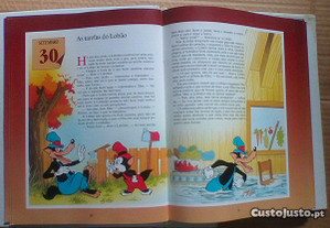 imagem_5