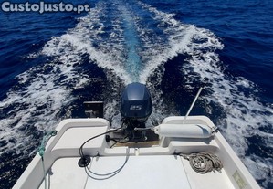 Barco Argus com atrelado