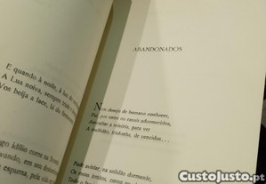 imagem_6