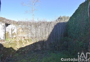 imagem_8