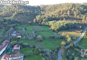 imagem_11