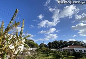 imagem_16