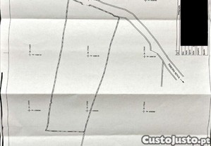 imagem_15