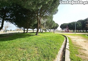imagem_33