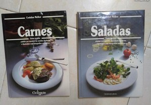Livros de culinaria carnes e saladas