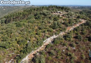 Casa / Villa em Freixianda, Ribeira do Frrio e Formigais de 86,00 m