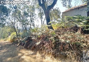 imagem_11