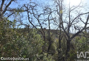 imagem_25