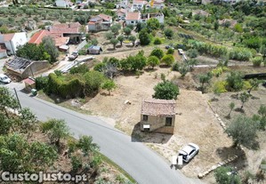 imagem_19