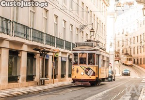 imagem_14