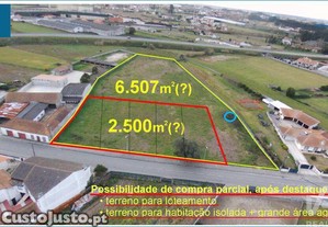 imagem_8