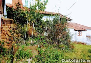 imagem_10
