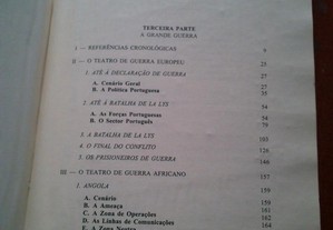 imagem_11