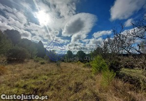 imagem_29