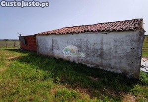 imagem_7
