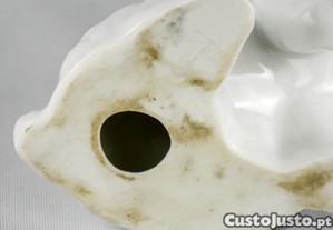imagem_9