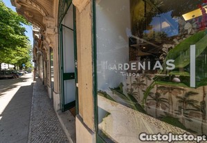 imagem_23