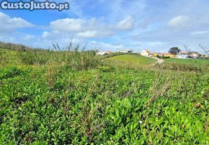 imagem_12