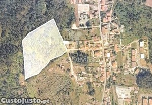 Terreno florestal para em nogueira - maia