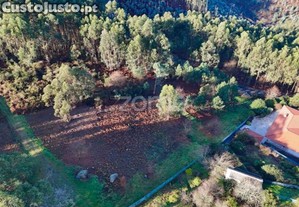 Terreno Rústico Localizado Na Póvoa De Lanhoso