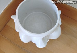 imagem_6