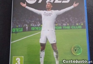 imagem_1