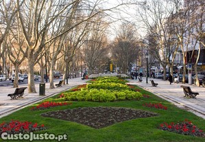 imagem_36