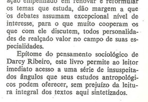 imagem_8