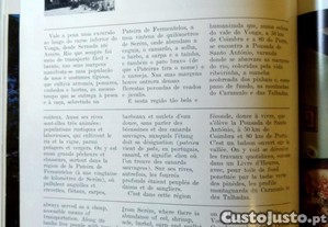 imagem_6