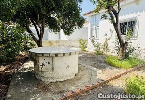 imagem_19