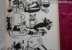 imagem_5