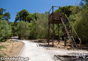 imagem_30