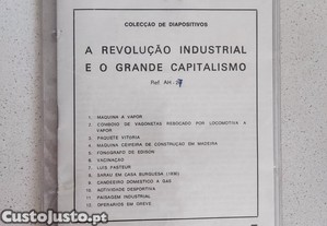 imagem_1