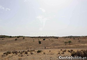 imagem_29