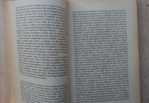 imagem_5