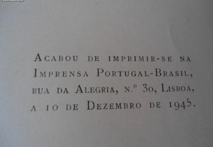 imagem_8