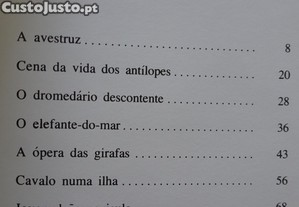 imagem_8
