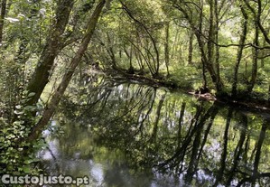 Terreno Com Potencial Para Turismo Em Espaço...