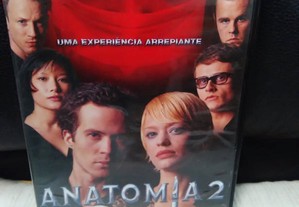 imagem_8