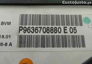 imagem_3