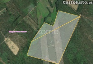 Terreno Rustico Junto À A25