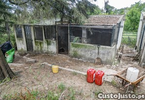 imagem_21