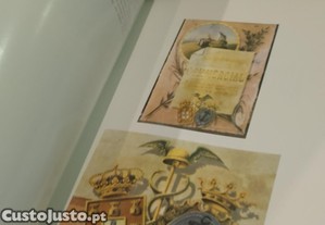 imagem_10