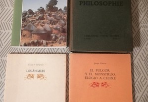 Livros em Francês e Espanhol (Poemas).