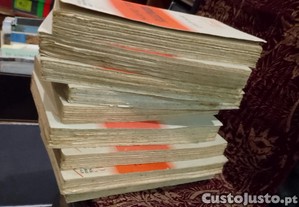 imagem_6