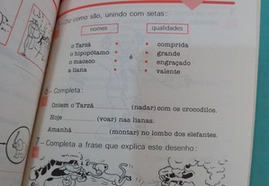 imagem_4