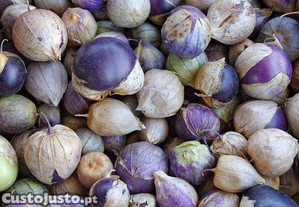 20 sementes de Physalis Ixocarpa - Tomatilho Roxo