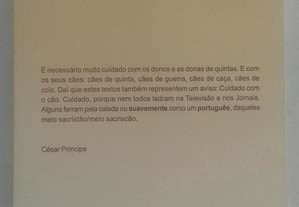 imagem_5