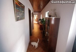 imagem_25