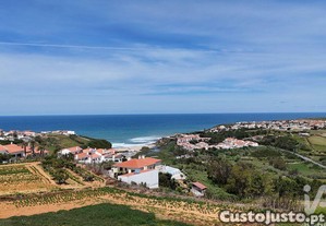 imagem_15